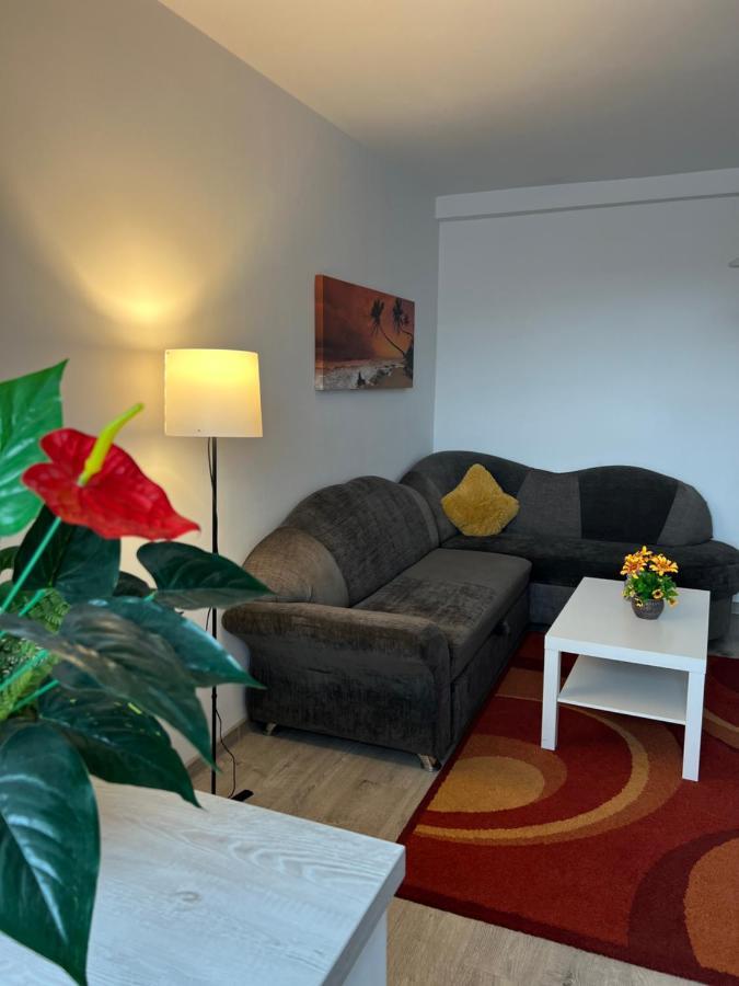 Ferienwohnung House51 Brașov Exterior foto